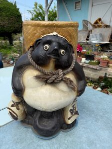 IMG_8484
